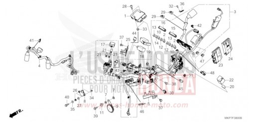 FAISCEAU DES FILS CB500XAN de 2022